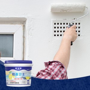 Xinruili architectural primer for the wall