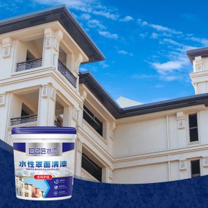 Xinruili topcoat for building walls