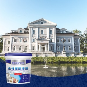 Xinruili topcoat for building walls